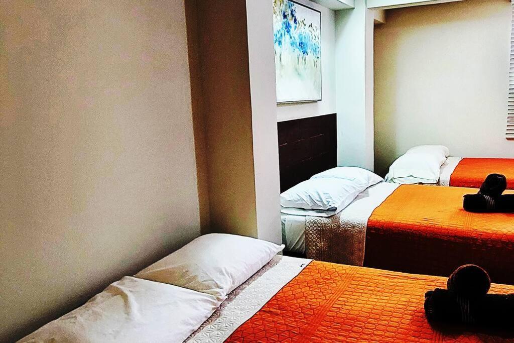 דירות סיודד ואייס Loft Centrico 3 Camas Matrimoniales,Aire Acondicionado, Parking מראה חיצוני תמונה