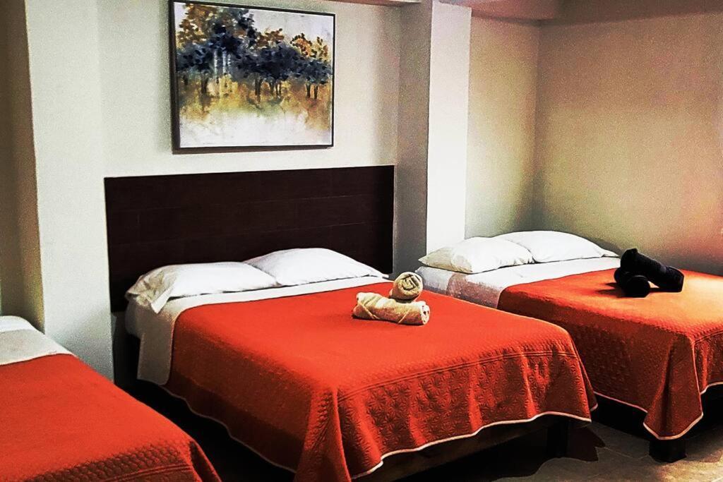 דירות סיודד ואייס Loft Centrico 3 Camas Matrimoniales,Aire Acondicionado, Parking מראה חיצוני תמונה